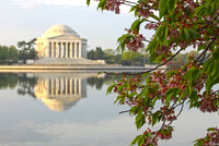 Washington DC