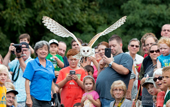 Raptor Weekend