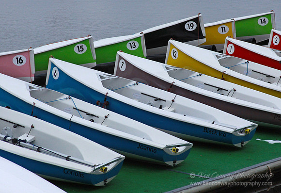 Sailboats, boat, sailboat, Boston
