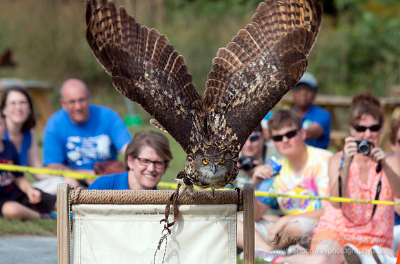 Raptor Weekend