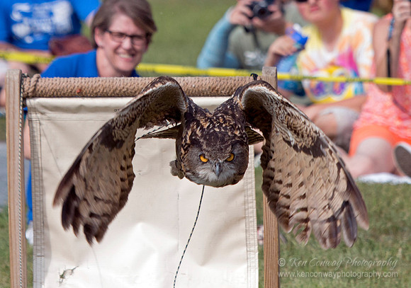 Raptor Weekend