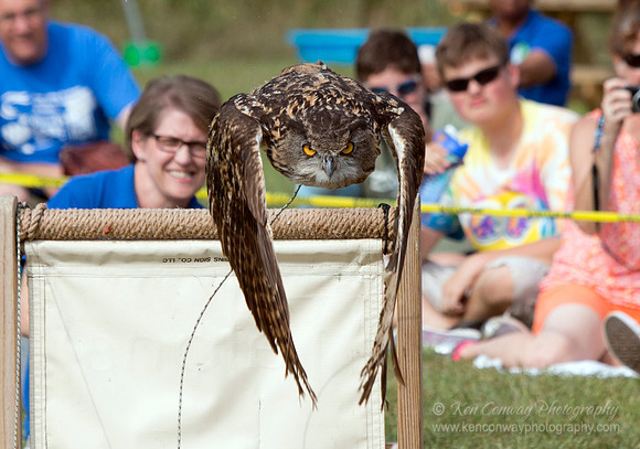 Raptor Weekend