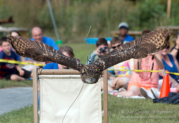 Raptor Weekend