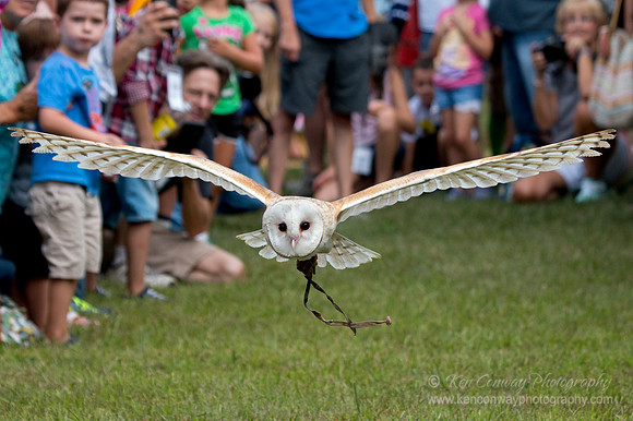 Raptor Weekend