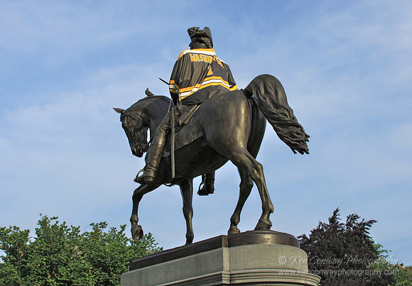 Washington - Bruins Fan