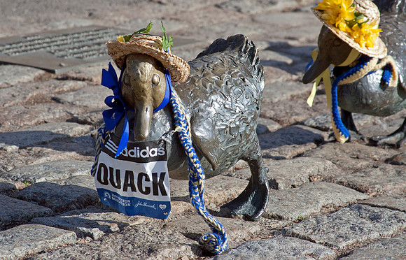 Make Way for Ducklings