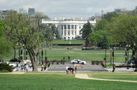 The White House