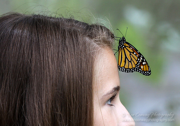Butterfly on face