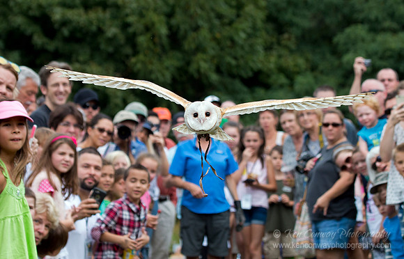 Raptor Weekend