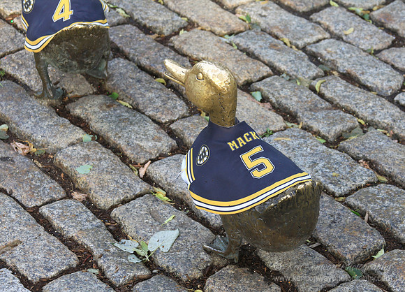 Make Way for the Bruins